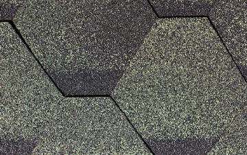 Winterborne Came fibreglass shingle repairs