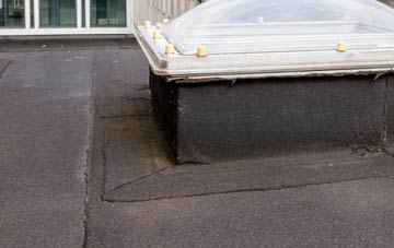disadvantages of Winterborne Came flat roofs