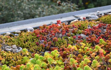 the cost of Winterborne Came green roof installation