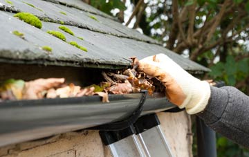 gutter cleaning Winterborne Came, Dorset