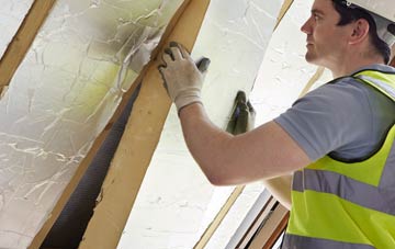 Winterborne Came loft insulation