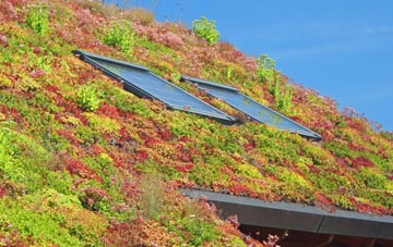 Winterborne Came living roof systems