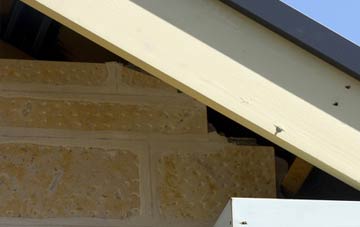 soffit repair Winterborne Came