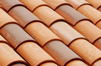 Winterborne Came clay roofing