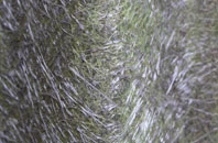 Winterborne Came fibreglass roof work