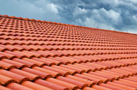 Winterborne Came roofing tiles