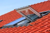 Winterborne Came roof window